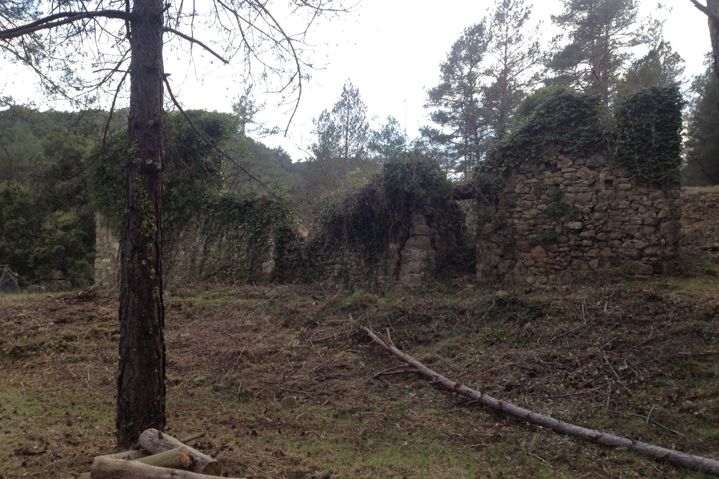 Pere Serra Arquitectura. CAN ROCA. Reconstrucció d'un habitatge unifamiliar al Parc Natural de la Vall de Bianya