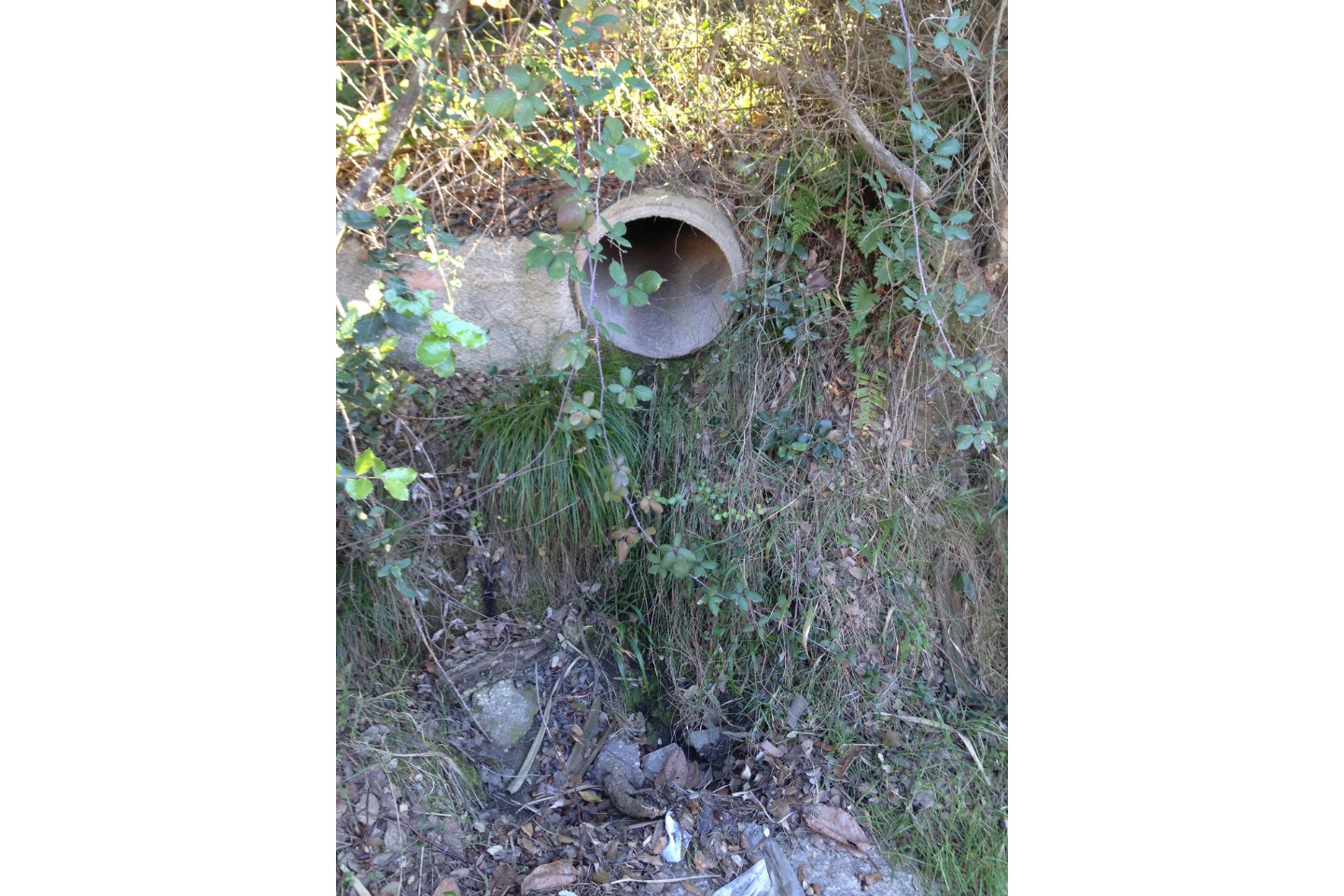 Pere Serra Arquitectura. Modificació puntual de les NNSS, Pla parcial i Projecte de reparcel·lació del sector Le Monnier, a Sant Andreu de Llavaneres, al Maresme.