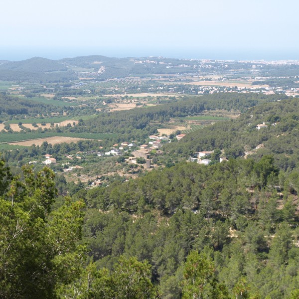 CAN LLOSES – CAN MARCER